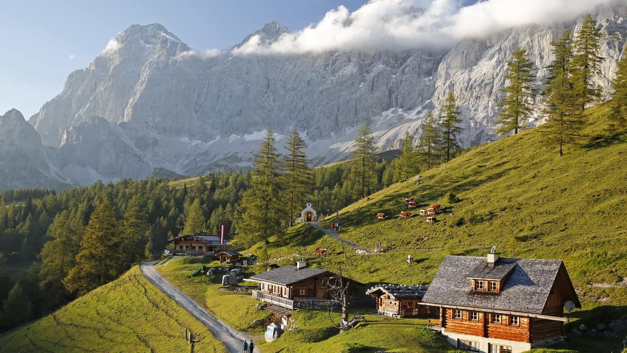 Almvandring vid Ramsau Schladming Dachstein