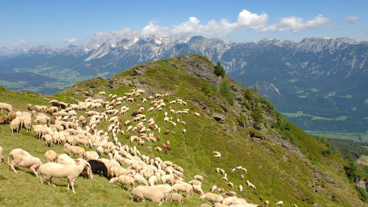 Hauser Kaibling Schladming Dachstein vandring