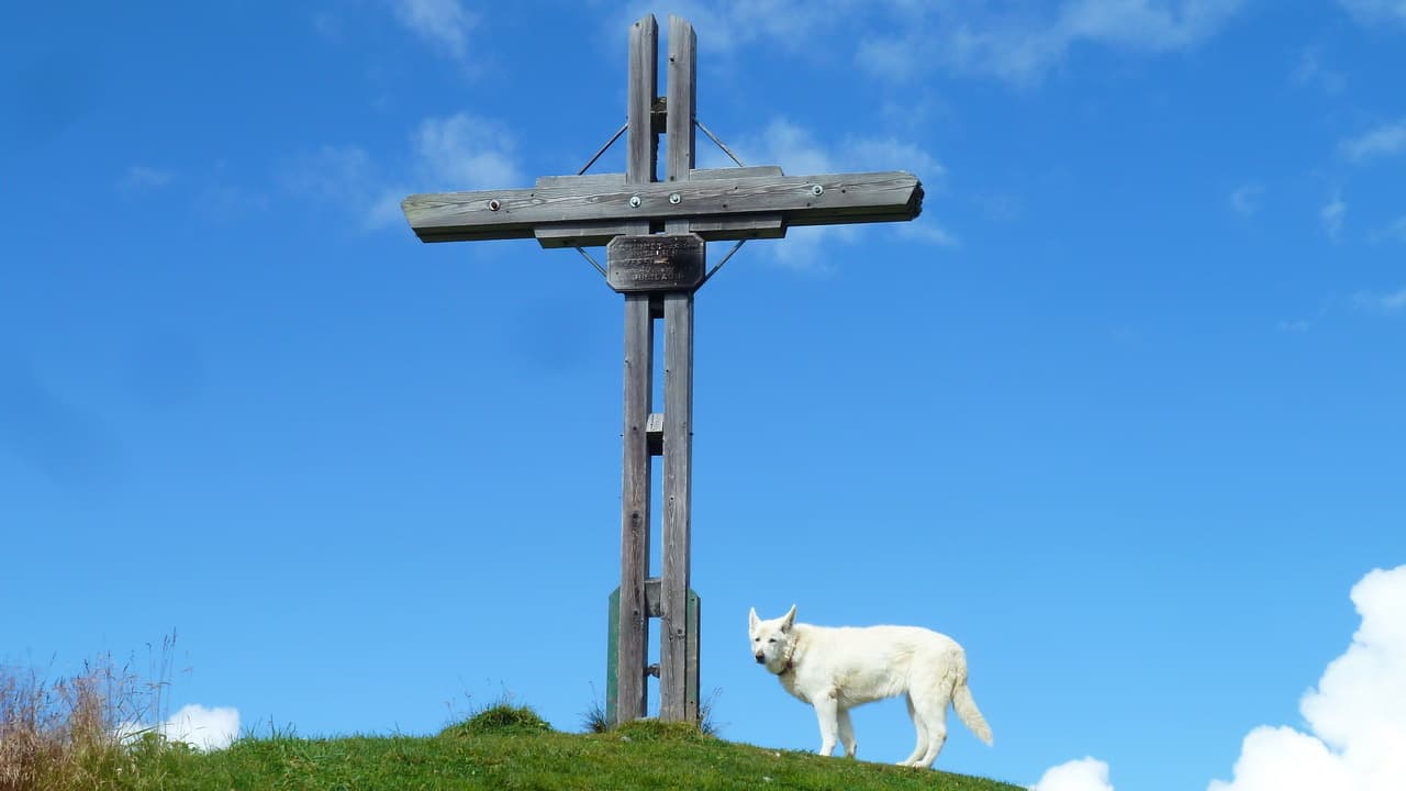 Toppen Wildenkarkogel ovanför Saalbach © Austria Travel - Rusner