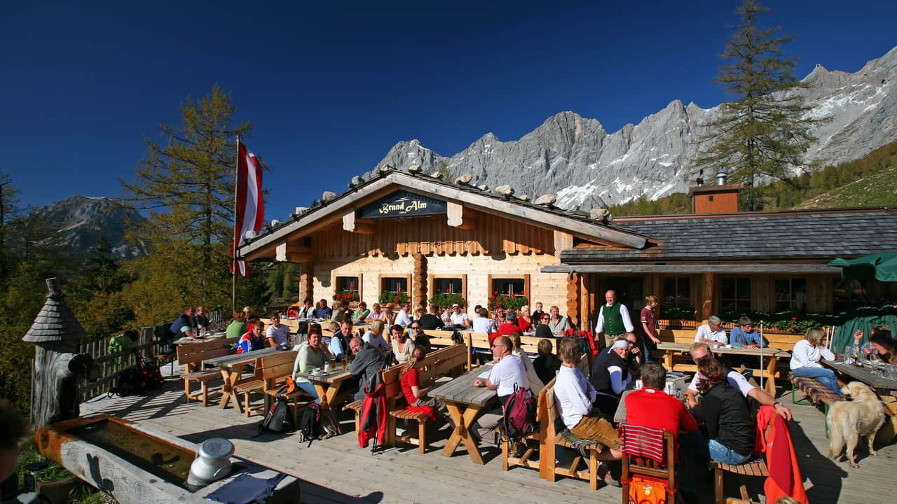 På Brandalm i Ramsau Semester i Österrike