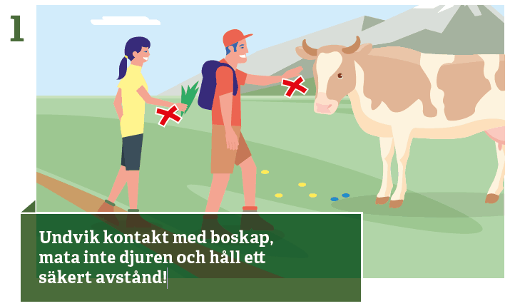 1. Undvik kontakt med boskap