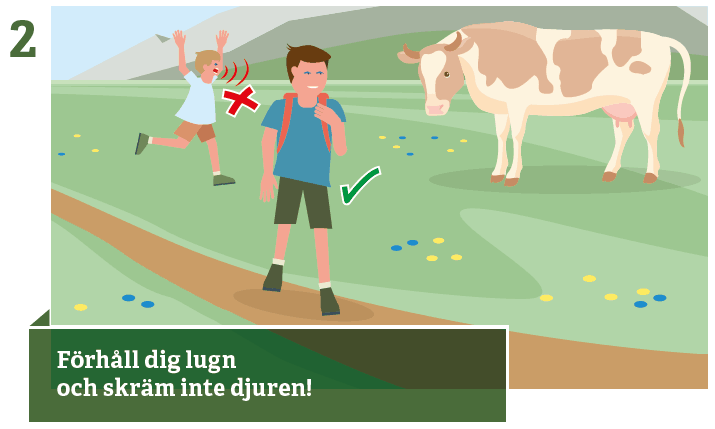 2. Förhåll dig lugn