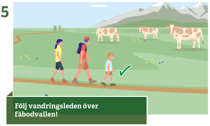 5. Håll dig till vandringsleden