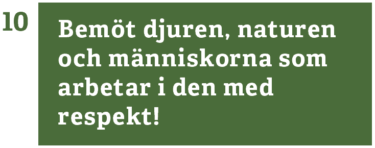 10. Bemöt djur, natur och människor med respekt