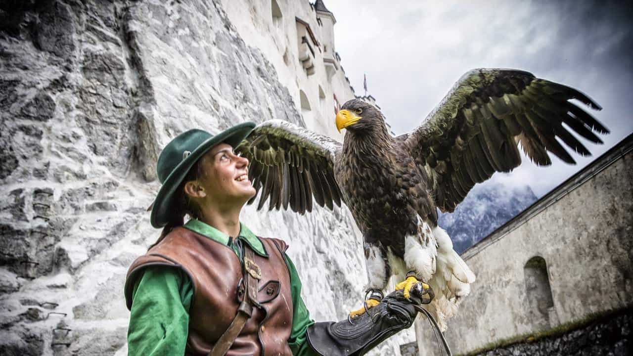 Rovfågeluppvisning på borgen Hohenwerfen